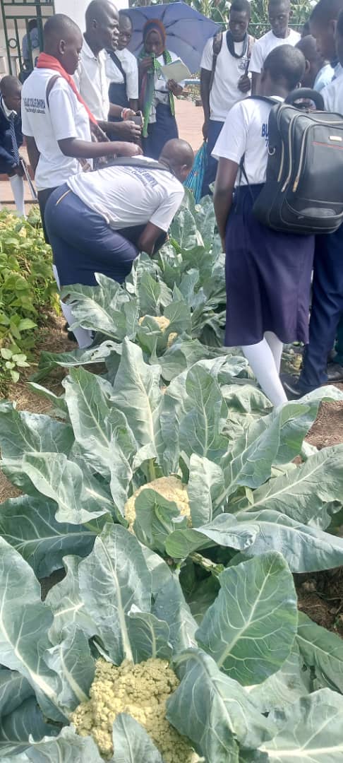 Agriculture learning